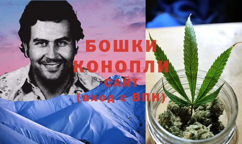 kraken зеркало  продажа наркотиков  Курчатов  Конопля THC 21% 